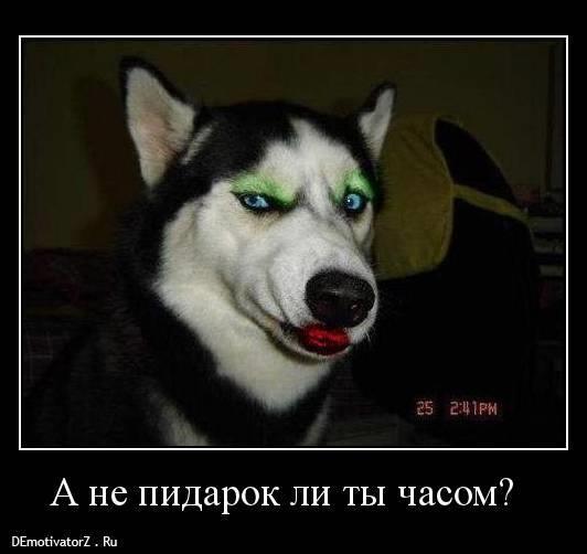 Сарказм!