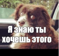 Картинки это хорошо)